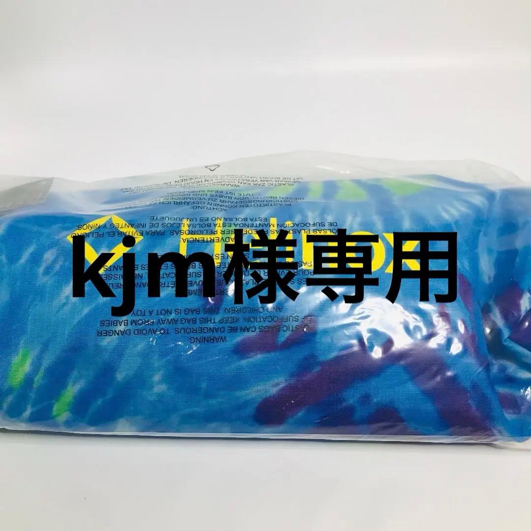 新品 ヘリノックス フェスティバル チェア タイダイ Helinox ゼロ