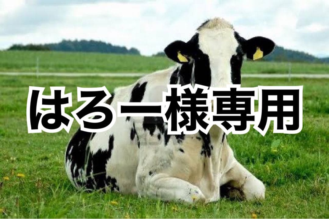 黒芯白8、ダークワイン8、キャメル8、オレンジ10m、タン10m