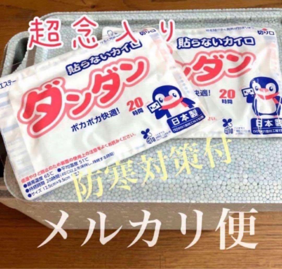 専用出品【鉢ごと発送】3株　豆豆龍錦　TC 発根管理中【匿名配送】